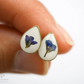 Forget-me-not Teardrop Earrings - Seed and Soil