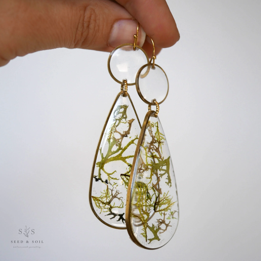 Woodland Drop Earrings - Seed and Soil