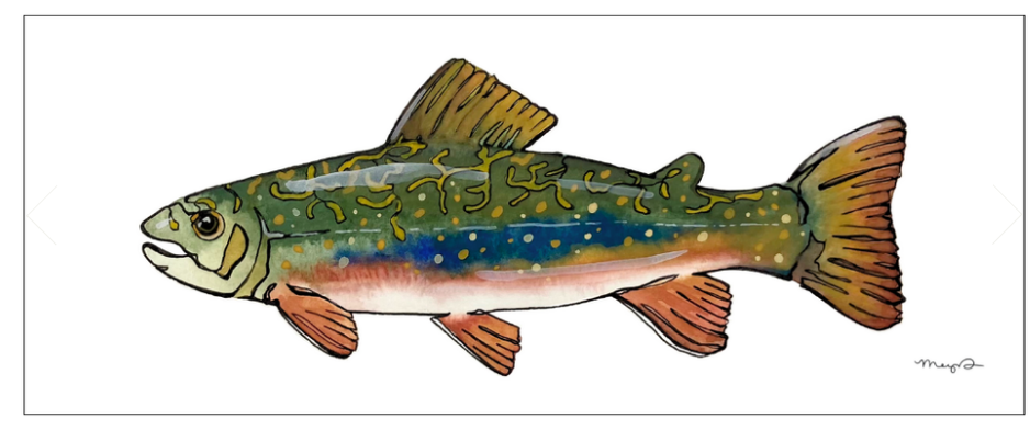 Fish Prints Meg Davies