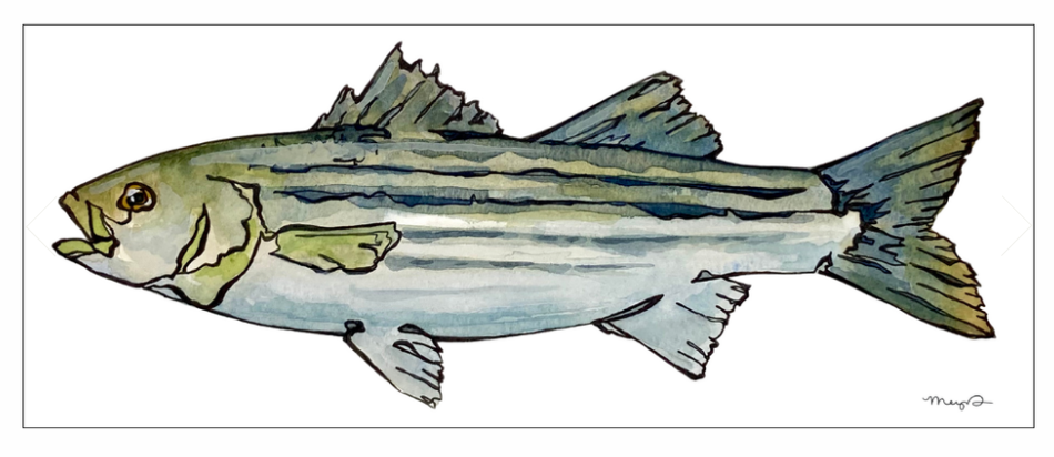 Fish Prints Meg Davies