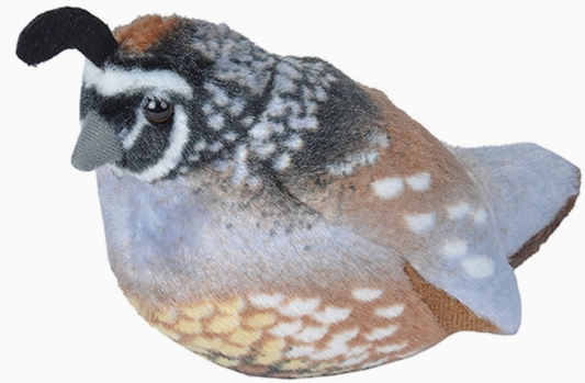 California Quail Stuffed Animal