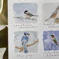 "For the Birds" Virginia Birds Print - Glasswater Art Co.