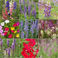 Hummingbird Garden Sprinkles