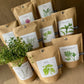 Basil Garden in a Bag