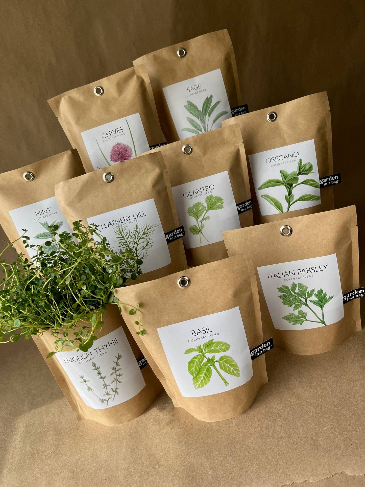 Basil Garden in a Bag