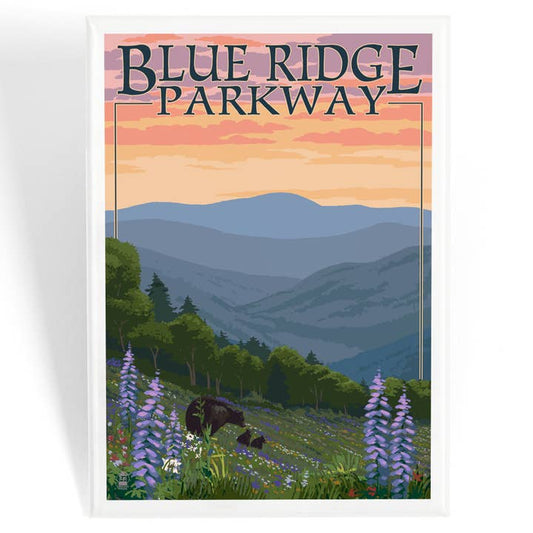 Blue Ridge Parkway Mountain Magnet