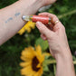 English Garden Natural Perfume