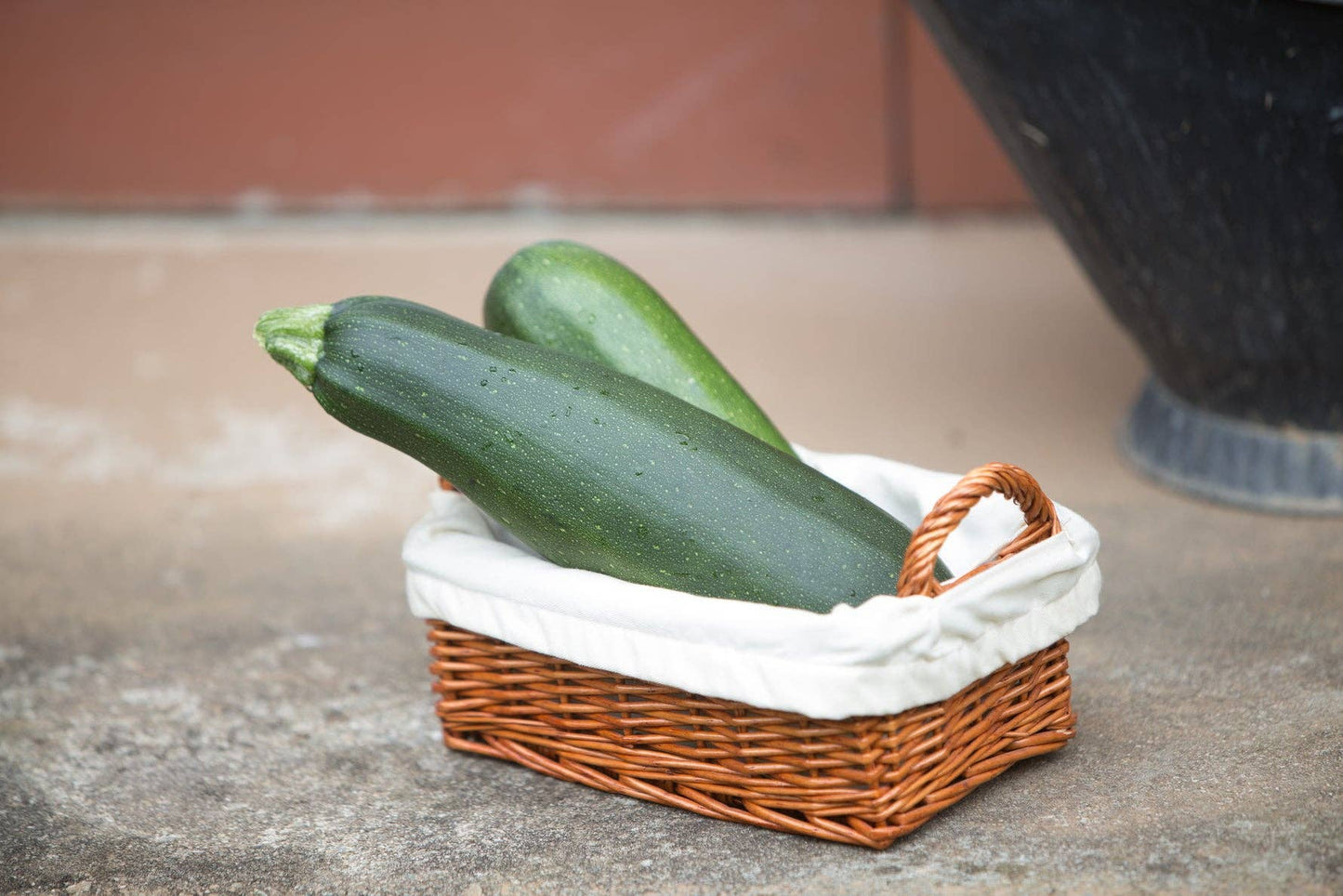 Zucchini Heirloom Garden Seed Packets
