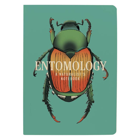 Entomology: An Insect Notebook