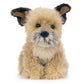 Border Terrier Plush Stuffed Animal