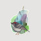 Marydean Draws Sticker - "Ruby-Crowned Kinglet Bird"