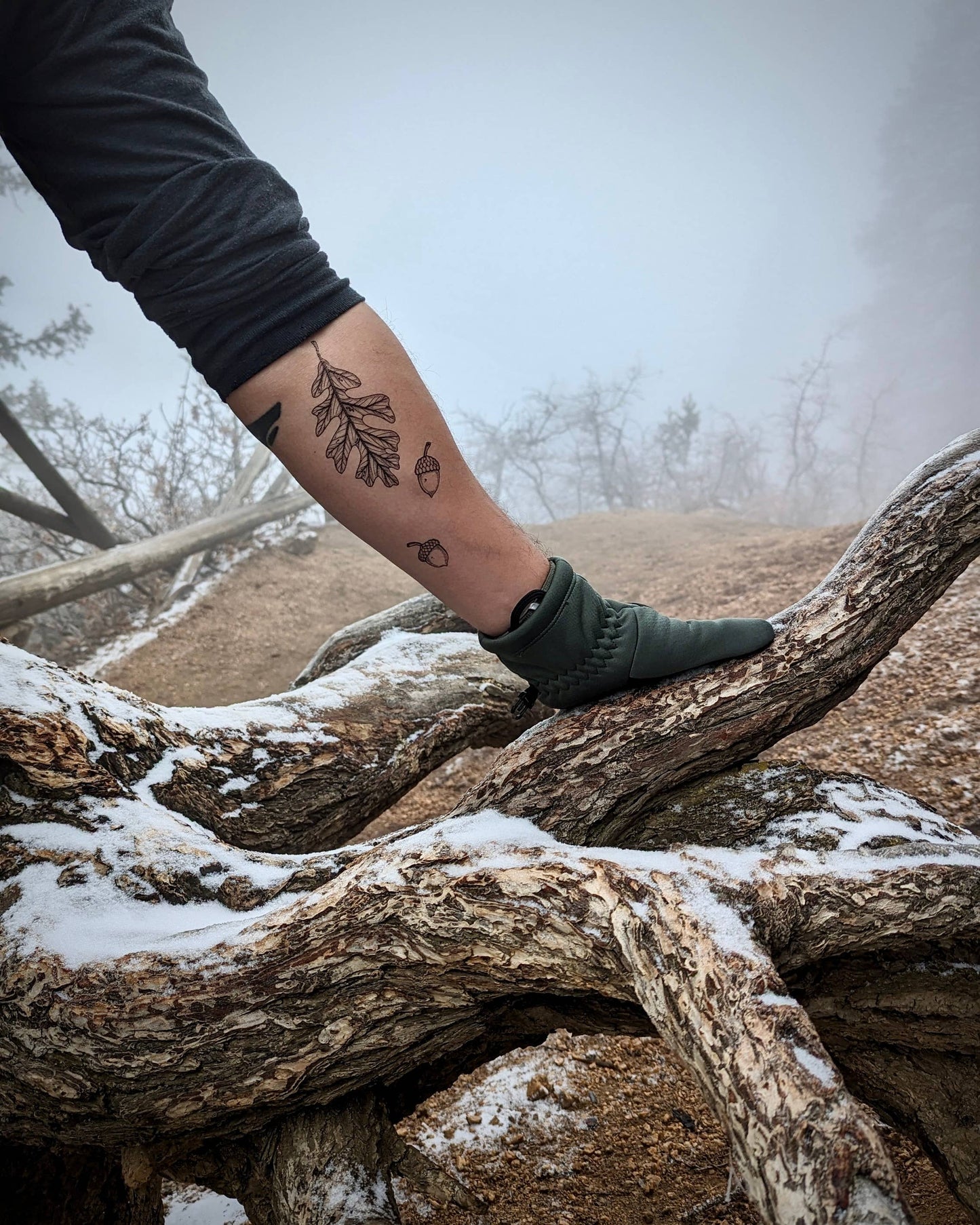 Acorn and Oak Leaves Temporary Tattoo