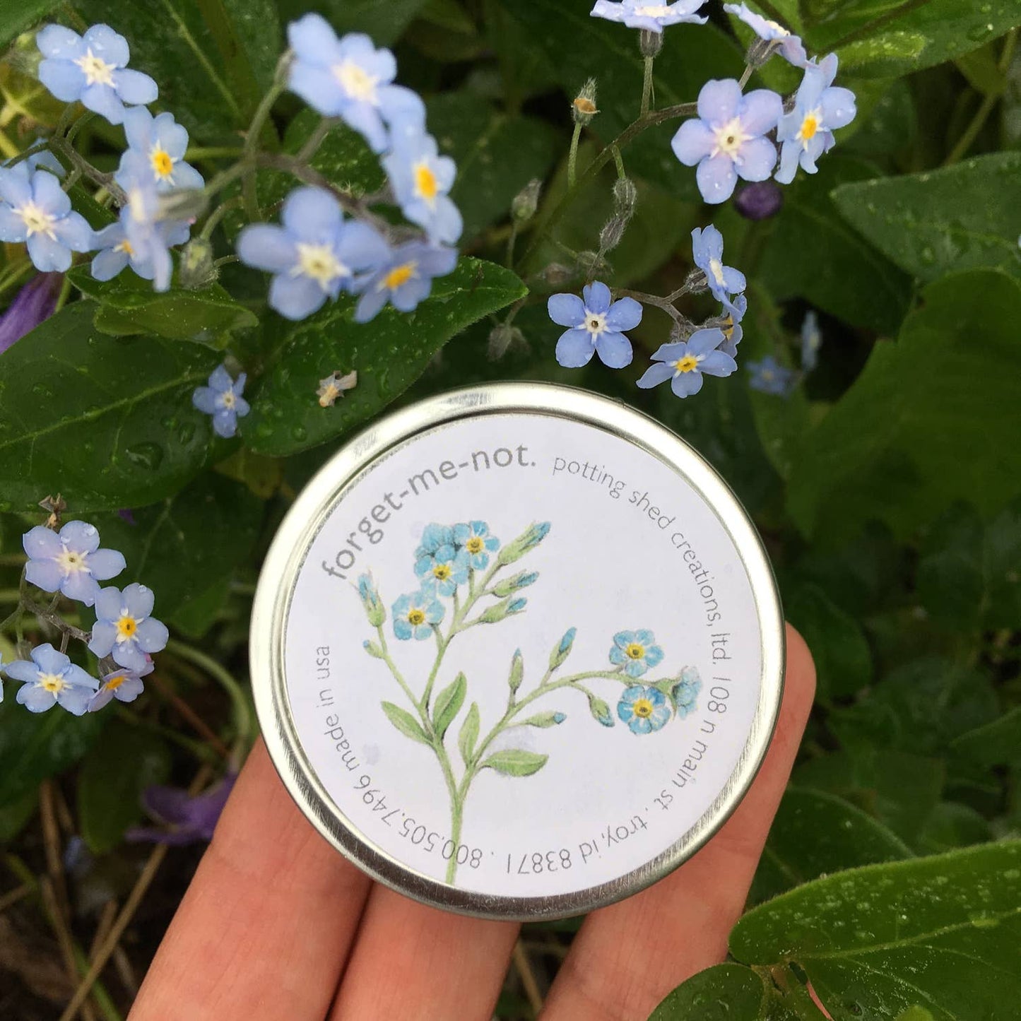 Forget-Me-Not Garden Sprinkles