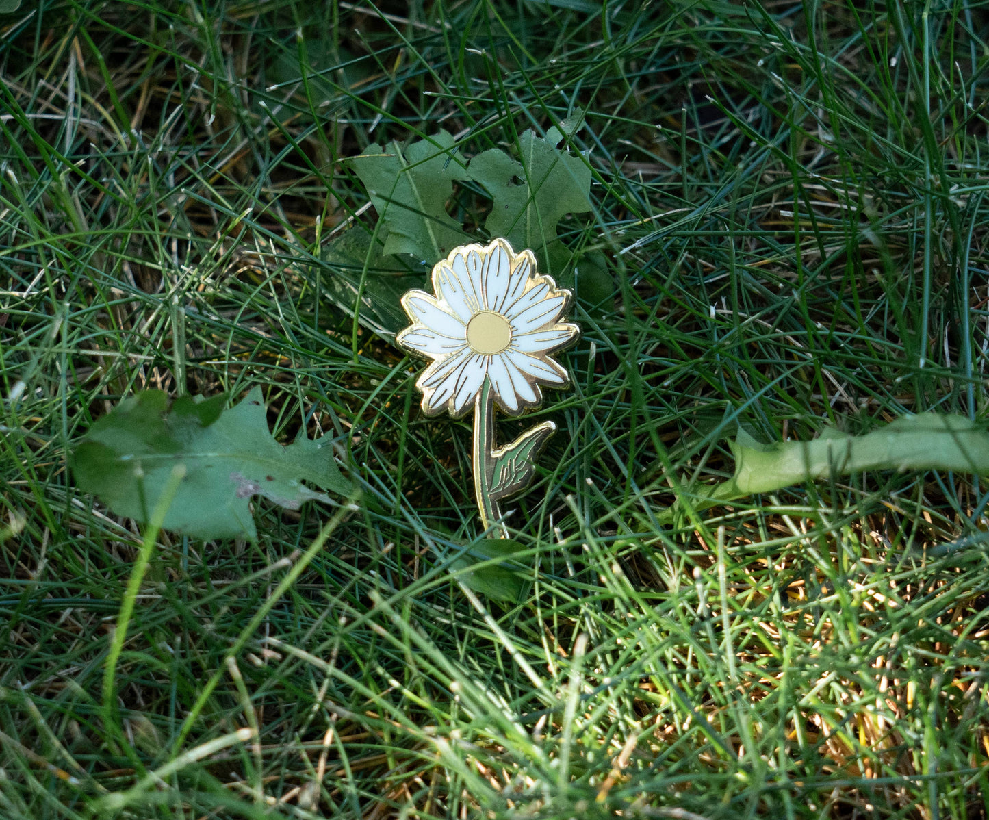 Daisy Pin Brooch