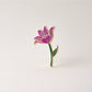 Hummingbird & Pink Lily Flower Pin Set