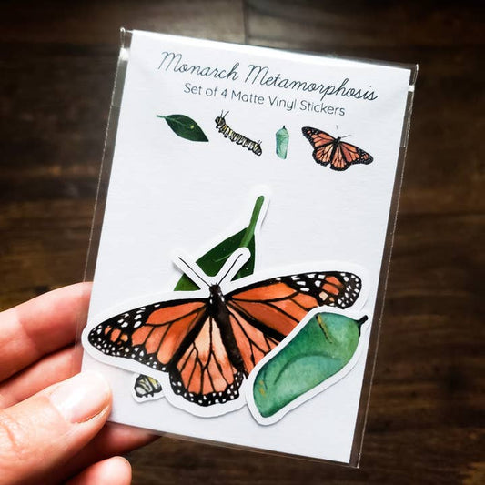 Monarch Butterfly Metamorphosis Sticker Pack