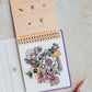 Flower Fairies: A Water Reveal Book