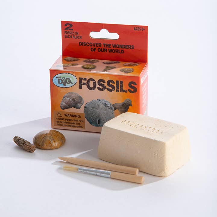 Mini Fossil Excavation Kit