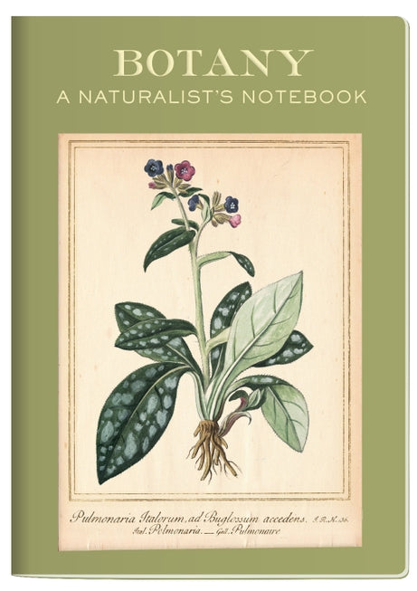 Botany: A Naturalist's Notebook