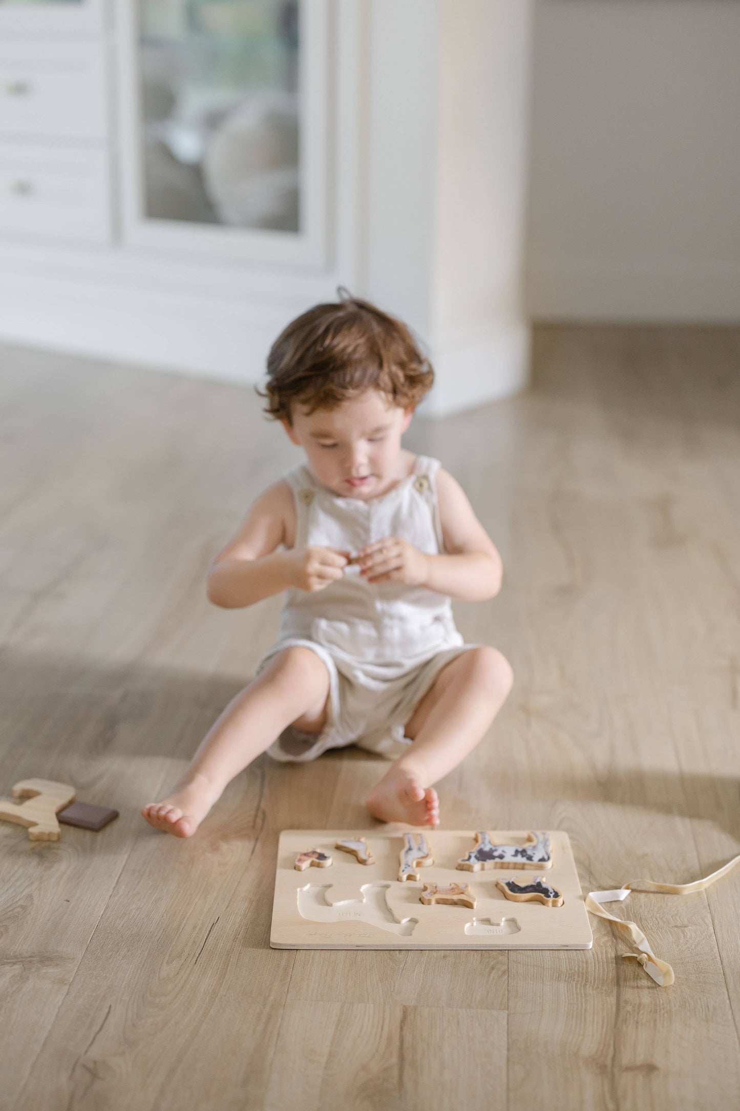 Farm Animals Wooden Puzzle