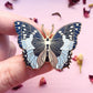 African Bluewing Butterfly Enamel Pin