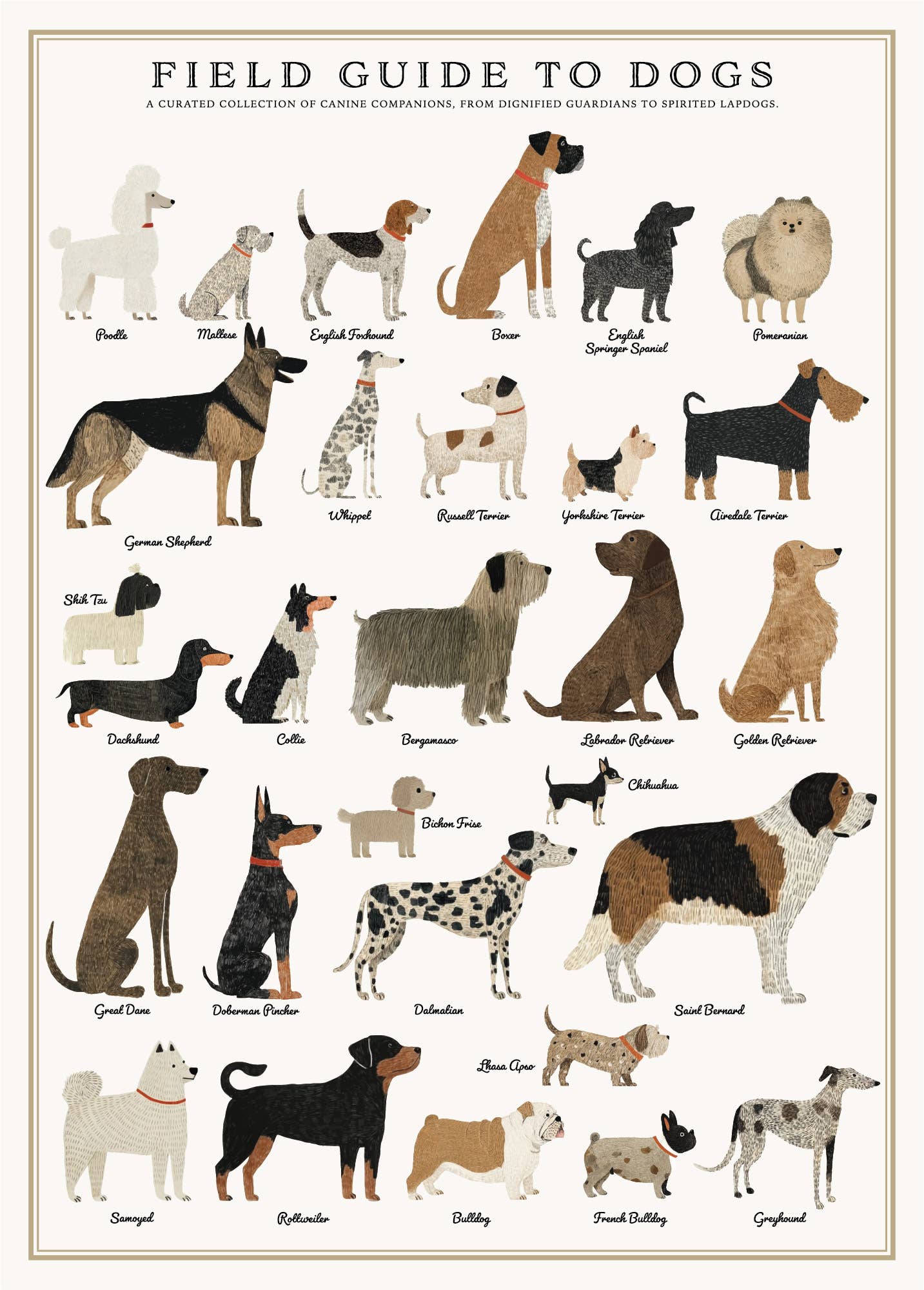 Plentiful Puppies Poster