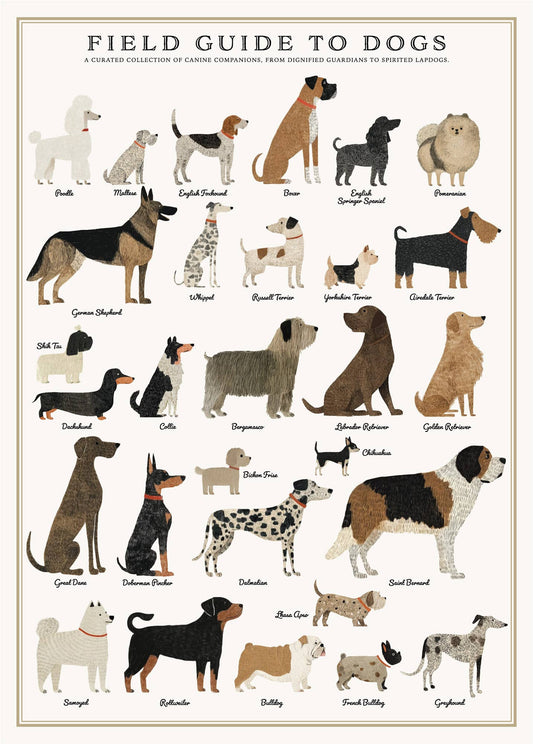 Plentiful Puppies Poster