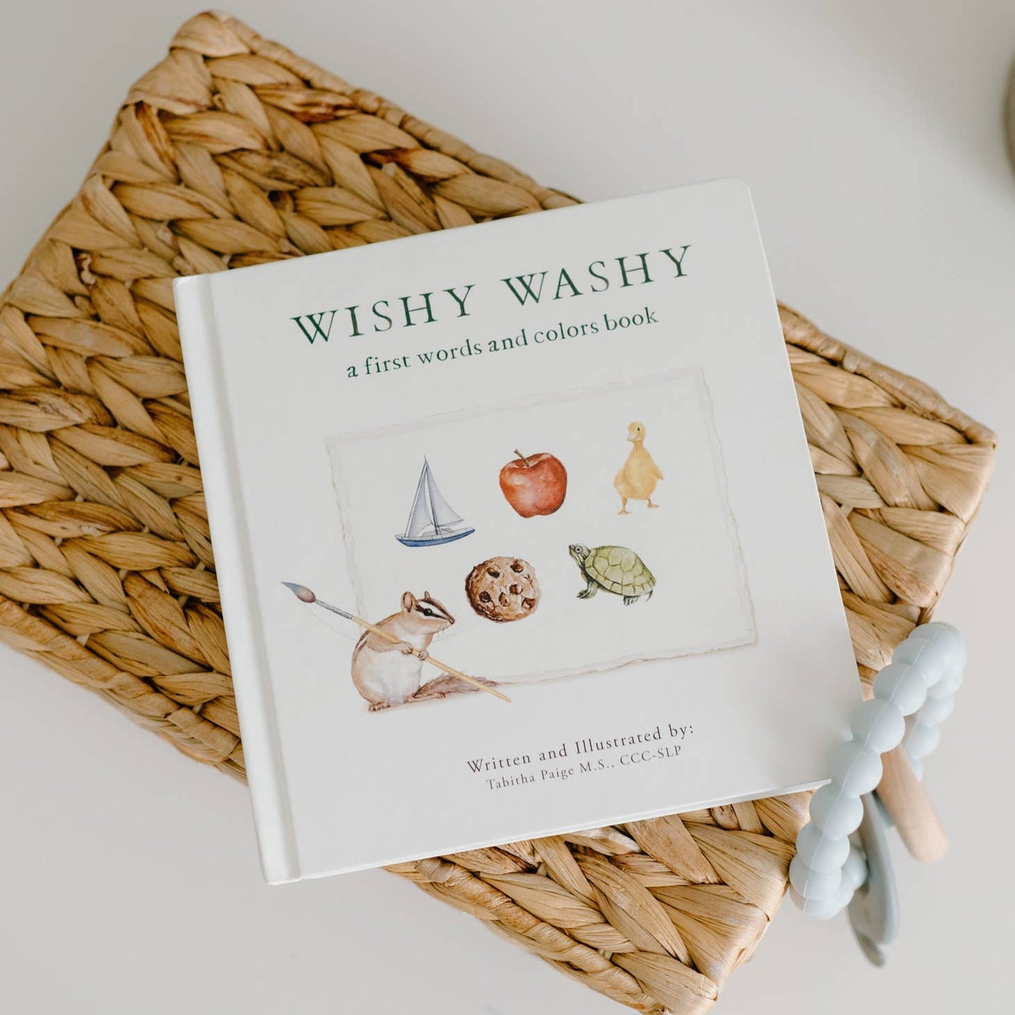 PREORDER - Wishy Washy: A Board Book of First Words and Colors