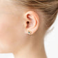 Frenchie Studs